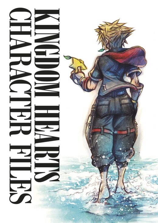KINGDOM HEARTS CHARACTER FILES HC (C: 0-1-2)