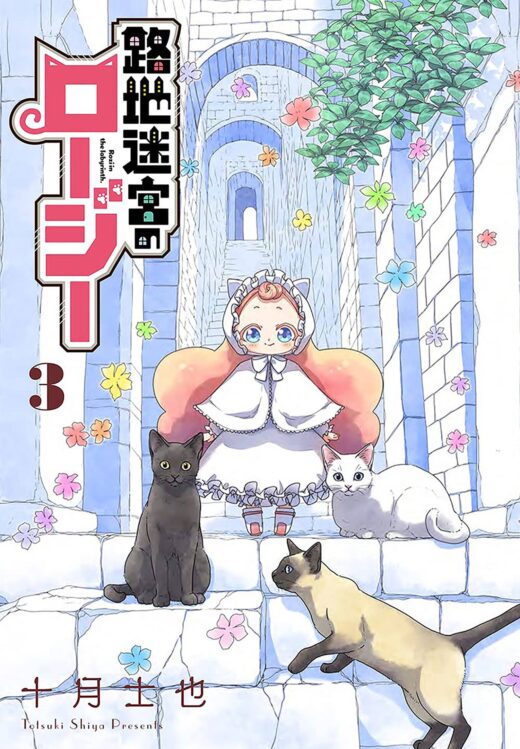 ROZI IN THE LABYRINTH GN VOL 03 (MR) (C: 0-1-0)