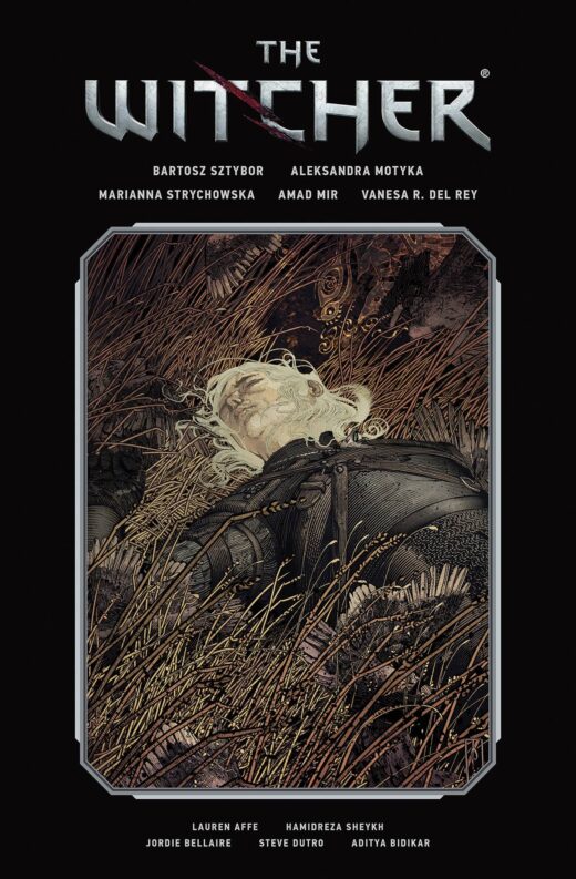 WITCHER LIBRARY EDITION HC VOL 02 (C: 0-1-2)