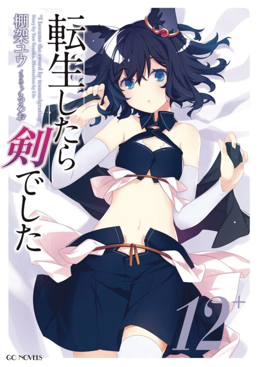 REINCARNATED AS A SWORD ANOTHER WISH GN VOL 04