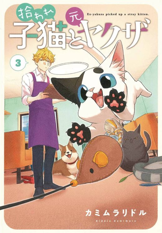 EX YAKUZA & STRAY KITTEN GN VOL 03