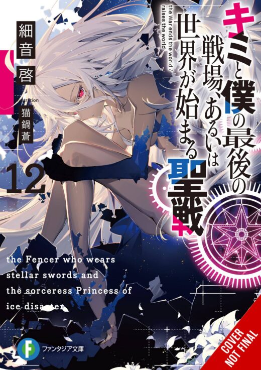 LAST CRUSADE RISE NEW WORLD LIGHT NOVEL SC VOL 12 (C: 0-1-2)