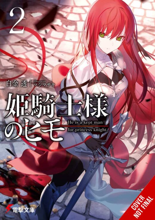 KEPT MAN OF PRINCESS KNIGHT LIGHT NOVEL SC VOL 02 (C: 0-1-2)