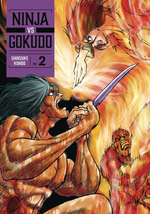 NINJA VS GOKUDO GN VOL 02 (C: 0-1-2)