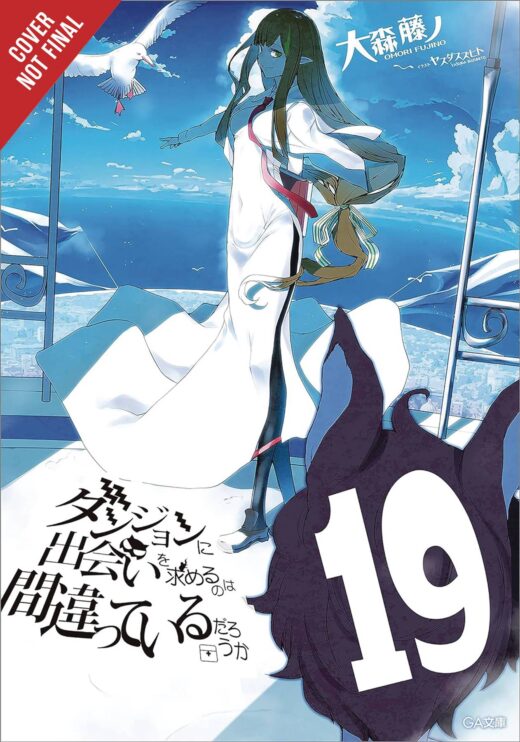 IS WRONG PICK UP GIRLS DUNGEON NOVEL SC VOL 19 (C: 0-1-2)