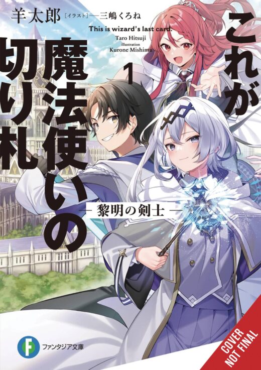 THIS IS THE WIZARDS SECRET WEAPON LIGHT NOVEL SC VOL 01 (C:
