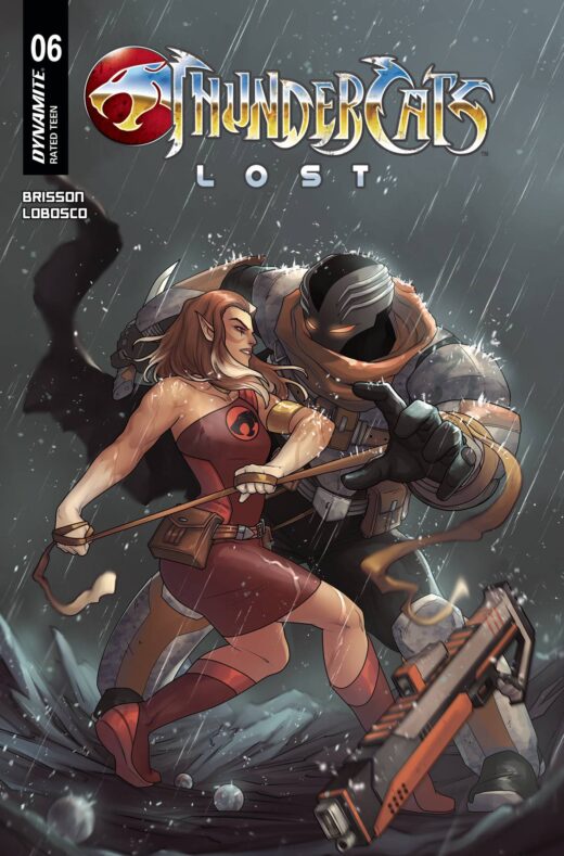 THUNDERCATS LOST #6 CVR C HETRICK