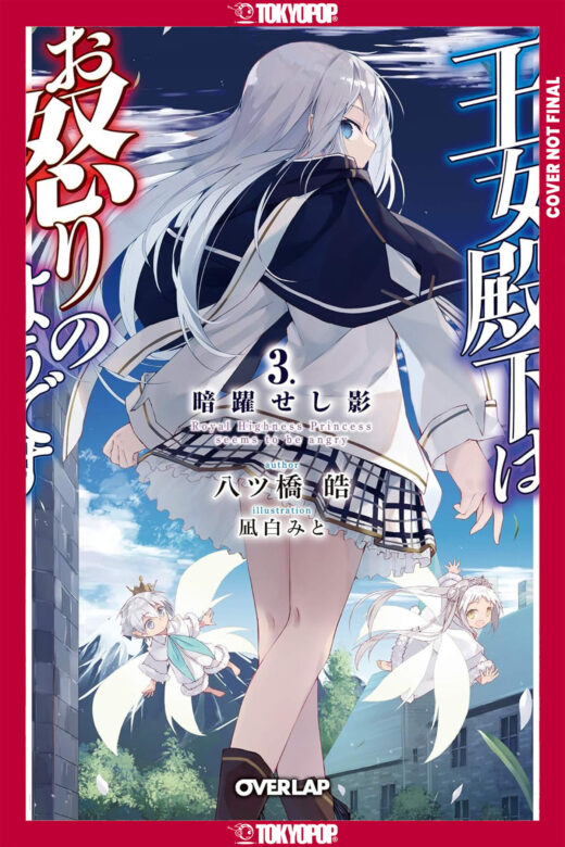 Her Royal Highness Seems to Be Angry, Volume 3 (Light Novel)