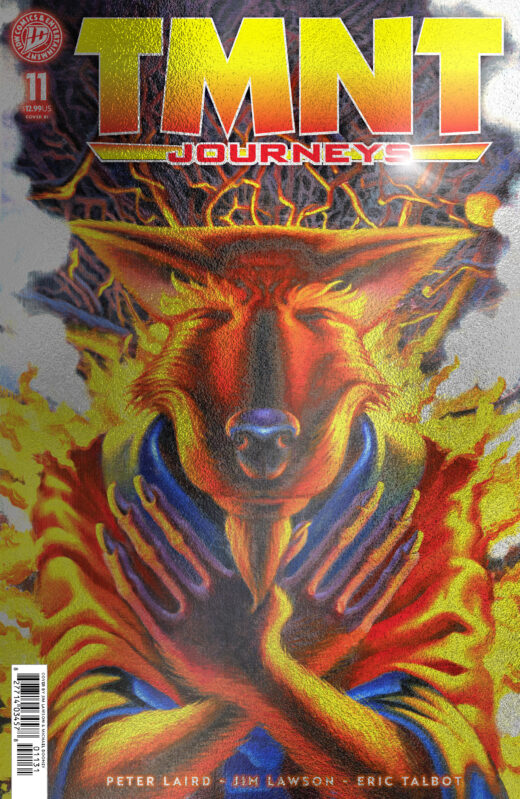 TMNT: Journeys #11 Variant RI (10) Foil (Dooney & Lawson)