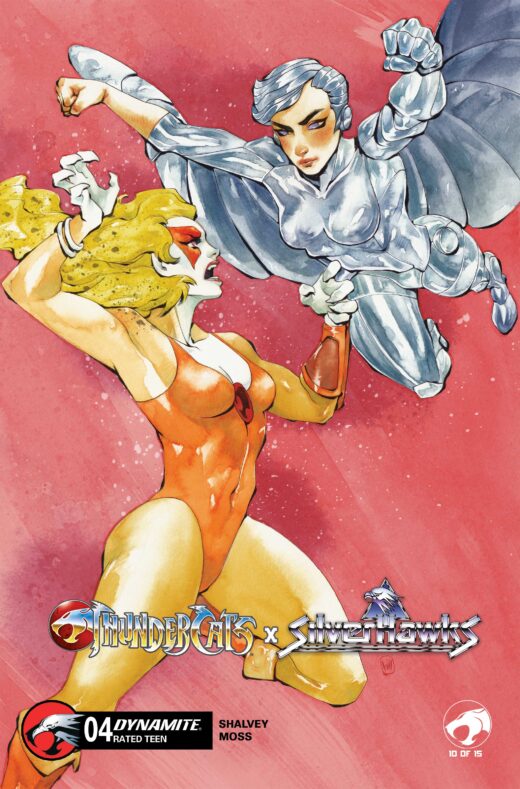 THUNDERCATS X SILVERHAWKS #4 CVR D CHUMA HILL VAR