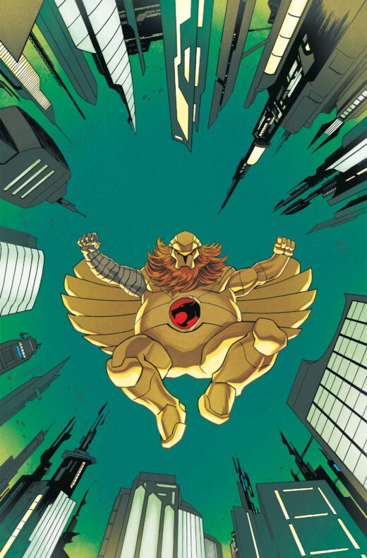 THUNDERCATS X SILVERHAWKS THUNDERHAWKS #4 CVR I INC 1:15 DECLAN SHALVEY VIRGIN VAR