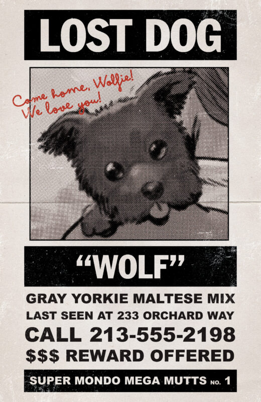 SUPER MONDO MEGA MUTTS #1 (OF 4) CVR G INC 1:10 JUAN GEDEON LOST DOG VAR