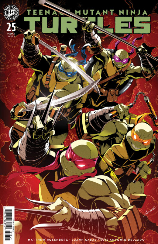 Teenage Mutant Ninja Turtles #25 Variant B (Godtail Cover Set)